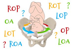 Collage with baby and pelvis in the center surrounded by acronyms for positions.